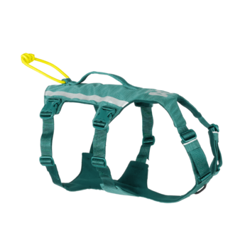 Non-stop dogwear - Ramble Harness Long