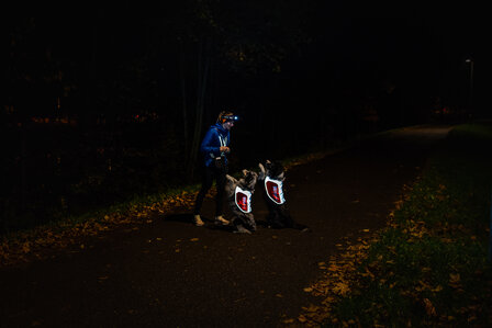 Non-stop dogwear - Reflection blanket