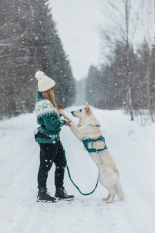 Non-stop dogwear - Ramble Harness Long