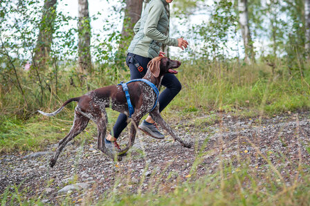 Non-stop dogwear - Line Harness 5.0