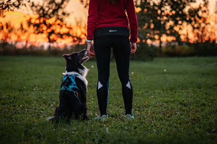 Non-stop dogwear - Rush harness