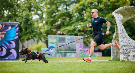 Non-stop dogwear - Rush belt