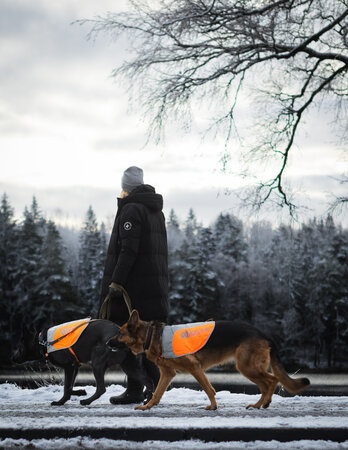 Non-stop dogwear - Reflection blanket