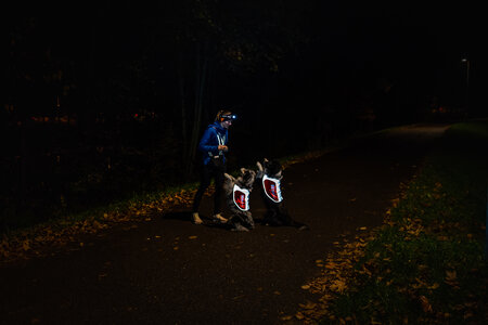 Non-stop dogwear - Reflection blanket