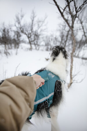 Non-stop dogwear - Ramble Harness Long