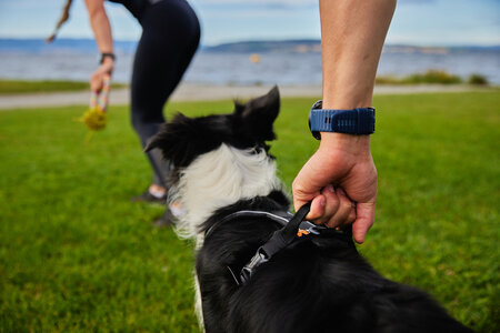 Non-stop dogwear - Line harness grip