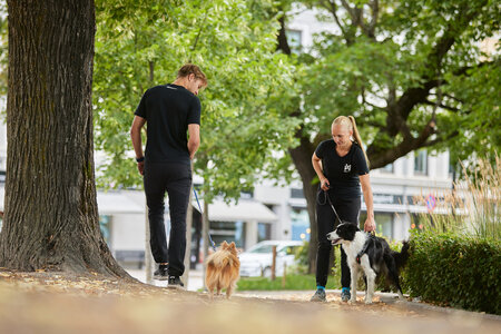 Non-stop dogwear - Line harness grip