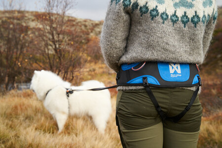 Non-stop dogwear - Ferd belt