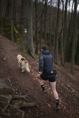 Non-stop dogwear - Trail light belt