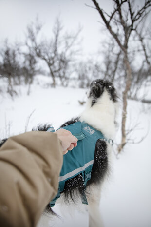 Non-stop dogwear - Ramble Harness Long