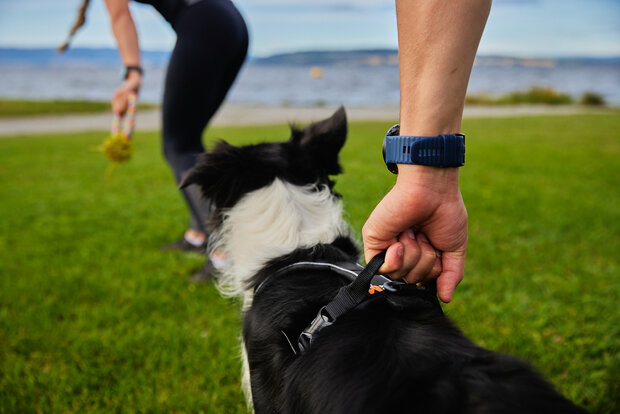 Non-stop dogwear - Line harness grip