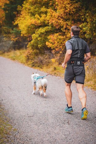 Non-stop dogwear - Trekking belt 2.0 zwart