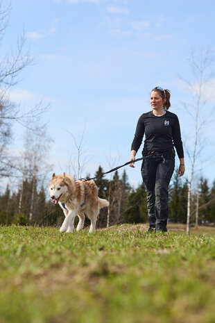 Non-stop dogwear - Ferd belt